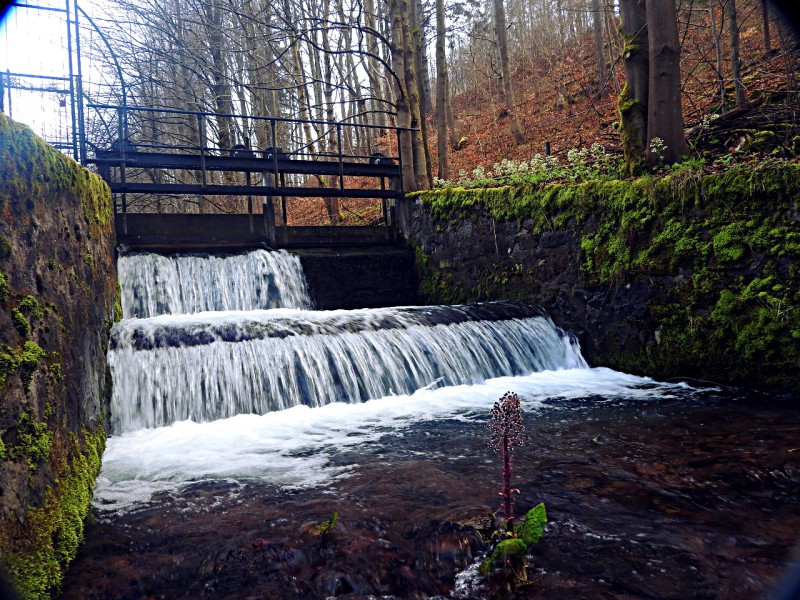 Wehranlage Wehranlage