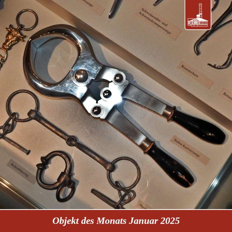 Objekt des Monats Januar 2025 Objekt des Monats Januar 2025