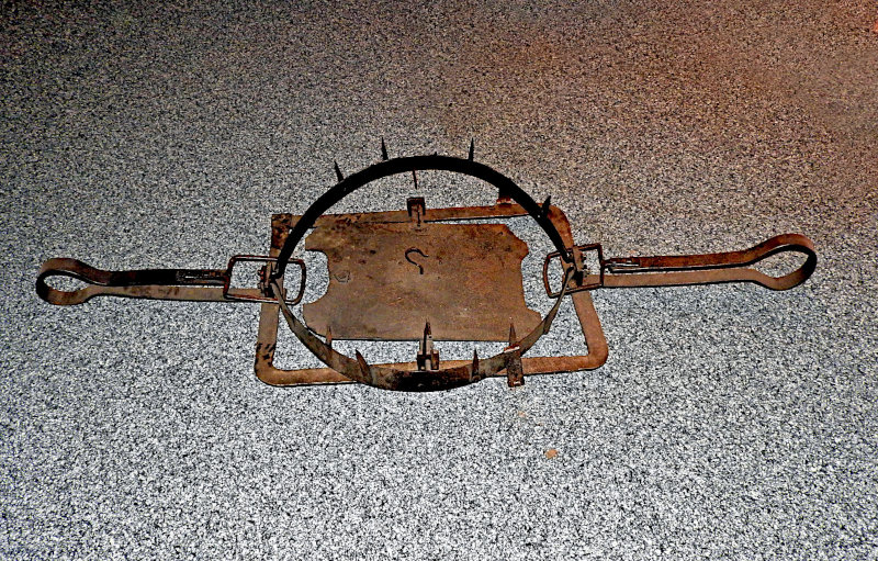 Ansicht der Wolfsfalle im gespannten Zustand. Ansicht der Wolfsfalle im gespannten Zustand.